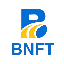 Bruce Non Fungible TokenBNFT logo