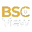 BSCViewBSCV logo