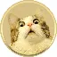 CatzCoinCATZ logo