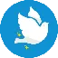 DoveSwap FinanceDOVE logo