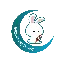 Little Bunny RocketLBR logo