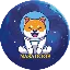 Nasa DogeNASADOGE logo